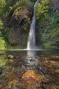 Horsetail Falls in Columbia River Gorge