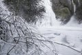 Horsetail falls Frozen in Winter with Tree Branche