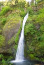 Horsetail Falls Vertical View Royalty Free Stock Photo