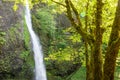 Horsetail Falls View Royalty Free Stock Photo