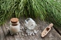 Horsetail healing herb and two bottles of homeopathic globules. Homeopathy