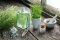 Horsetail healing herbs, bottle of equisetum infusion, mortar and bottles of homeopathic globules. Royalty Free Stock Photo