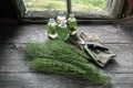 Horsetail healing herbs, bottle of infusion, gloves and garden scissors.