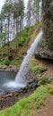 Horsetail and Poneytail waterfall Columbia River Gorge Oregon Royalty Free Stock Photo