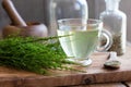 Horsetail tea with fresh and dried horsetail Royalty Free Stock Photo