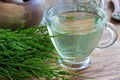 Horsetail tea with fresh horsetail twigs