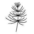 Horsetail vector icon. Medicinal field plant with a stem, thin leaves. Black and white hand drawn wild herb. Botanical sketch