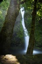 Horsetale Falls Royalty Free Stock Photo