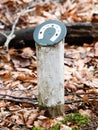 Horsetrack in a dutch forrest Royalty Free Stock Photo