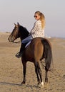 Horsewoman on the beach Royalty Free Stock Photo