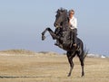 Horsewoman on the beach Royalty Free Stock Photo