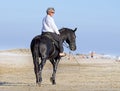 Horsewoman on the beach Royalty Free Stock Photo