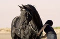 Horsewoman on the beach Royalty Free Stock Photo