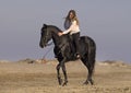 Horsewoman on the beach Royalty Free Stock Photo