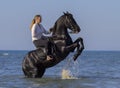 Horsewoman on the beach Royalty Free Stock Photo