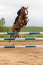 Horsewoman hidden behind a horse's head in high jump
