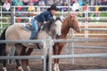 Horsewoman Training Horse