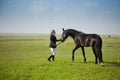 Horsewoman trains the horse