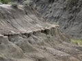 Horshoe canyon badlands in Alberta Royalty Free Stock Photo