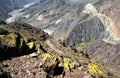 Horsriders on their difficult way in the steep andes mountains- Argentinia Royalty Free Stock Photo