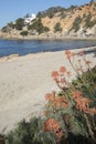 Hort Cove and Beach; Ibiza Royalty Free Stock Photo