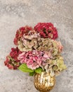 Hortensia flowers bouquet over stone background