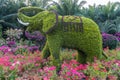 Horticultural works of lianhuashan park in shenzhen: elephants