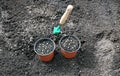 Horticulture accessories on the gardenbed