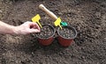 Horticulture accessories on the gardenbed Royalty Free Stock Photo