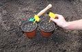 Horticulture accessories on the gardenbed