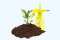 -horticulture gardening ground sprinkle eggplant -