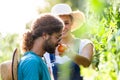 Horticulturist young couple harvesting fresh vegetables and smelling tomatoe from the garden.