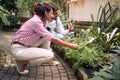 Horticulturists desinger working at urban garden.Planting,design flower garden Royalty Free Stock Photo