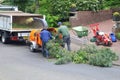 Gardeners work with a wood chipper, Netherlands Royalty Free Stock Photo