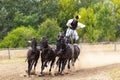 Hungarian herdsman - \