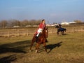 Demonstration of Horse Riding School, , Hortobagy, Hungary.