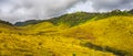 The Horton Plains