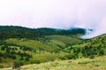 Biodiversity of Horton Plains National Park,Srilanka