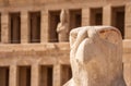 Horus guarding Hatshepsut temple in Egypt, Valley of The Kings, Luxor, Egypt Royalty Free Stock Photo