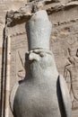 Horus Statue - Egyptology - History and Architecture - Granite Statue