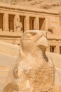 Horus Statue n front of Famous Mortuary Temple of Hatshepsut Royalty Free Stock Photo