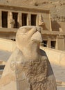 Horus statue at Temple of Hatshepsut in Egypt Royalty Free Stock Photo