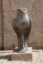Horus temple - Edfu, Egypt Royalty Free Stock Photo