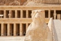 Horus. Temple of Hatshepsut. Luxor, Egypt Royalty Free Stock Photo