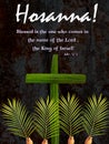 Hosanna in the highest