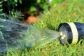 Hose pipe sprinkler watering garden lawn and flower bed
