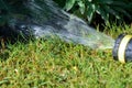 Hose pipe sprinkler watering garden lawn and flower bed Royalty Free Stock Photo
