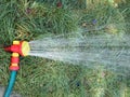 Hose with a spray watering the lawn closeup Royalty Free Stock Photo