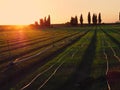 Hoses for automatic irrigation in fields Royalty Free Stock Photo