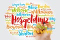 Hosgeldiniz Welcome in Turkish word cloud with marker in different languages, conceptual background